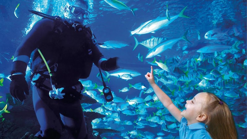 Aquarium Restaurant