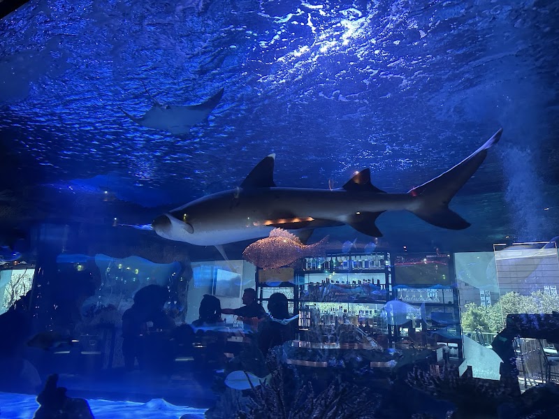 Aquarium Restaurant