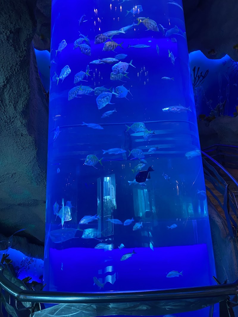 Aquarium Restaurant