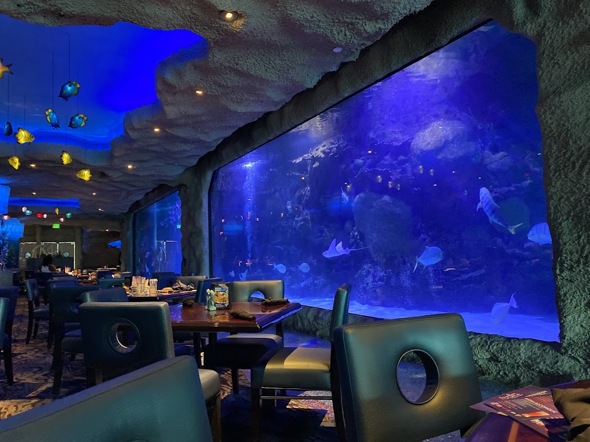 Aquarium Restaurant — Restaurant